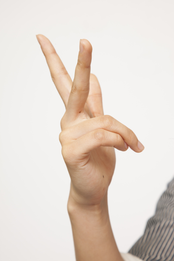 NMB483579	YouTube>14{ ->摜>218 