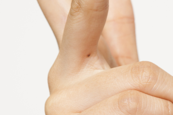 NMB483579	YouTube>14{ ->摜>218 